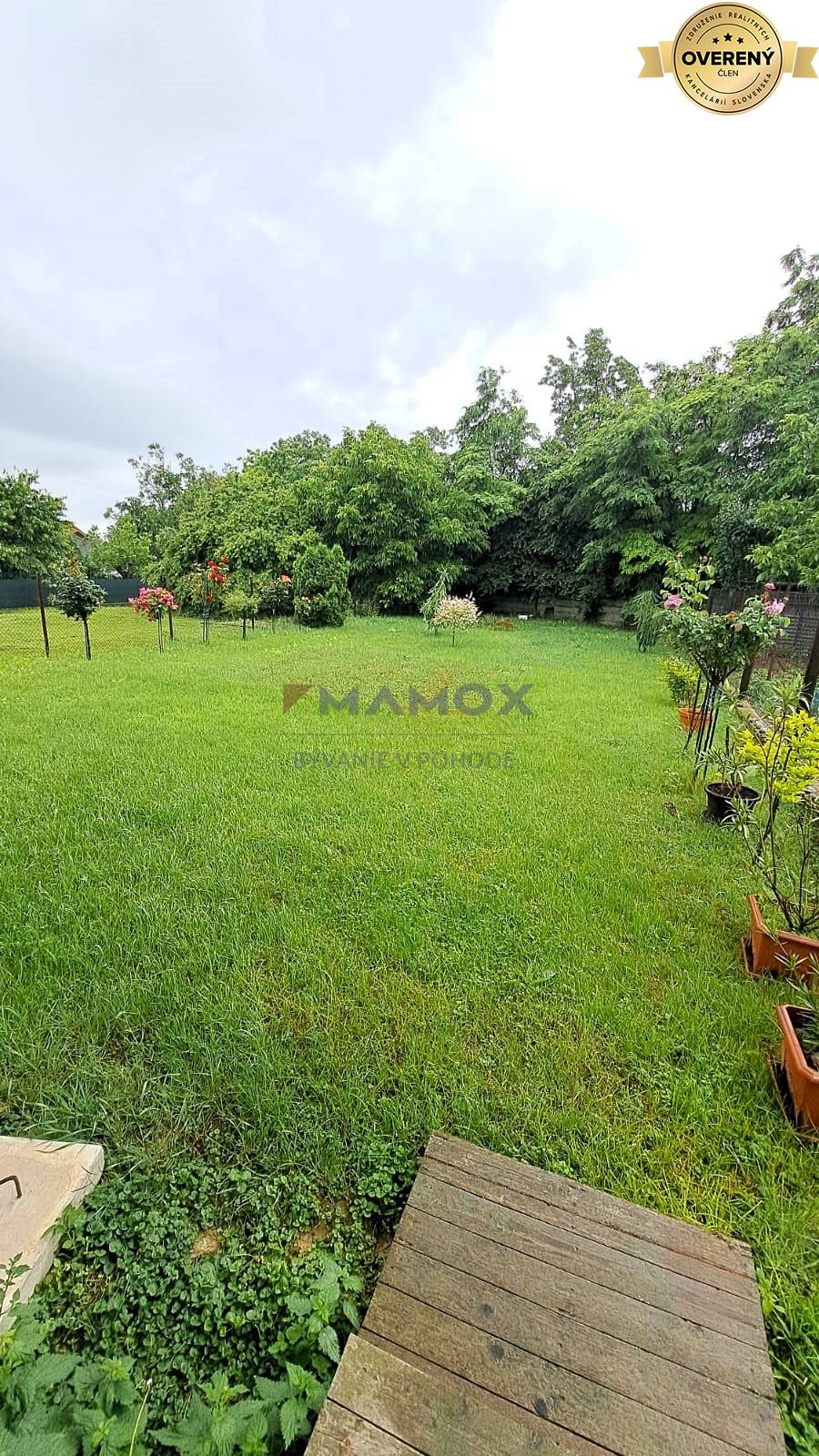 Zeleň na dvore