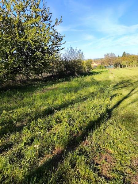 Vaša oáza pokoja v Branči- 723m2 kúska zeme vo vinohradníckej oblasti.